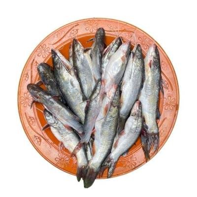 সাতক্ষীরার টেংরা